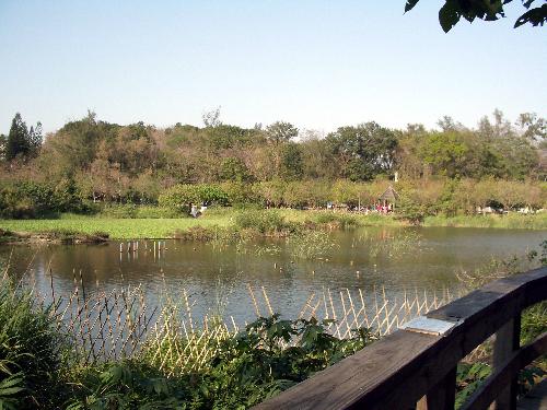 生活情報.tw-鳥松濕地公園