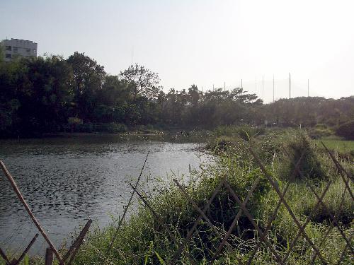 生活情報.tw-鳥松濕地公園