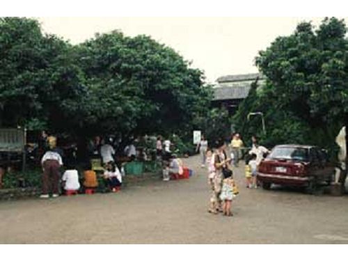 生活情報.tw-九華山大興善寺