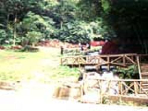 里報.tw-惠蓀國家森林遊樂區