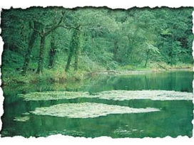 福山植物園 福山植物園