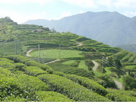 摩天風景區 摩天風景區