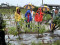 6月豪雨連連造成屏東農損 縣府爭取農業部