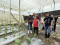 豪雨釀農損逾1.3億元 屏東啟動全品項救