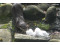 熊熊來吃冰夏季動物蔬果剉冰持續供應