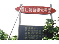 豐丘葡萄觀光果園