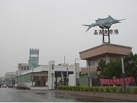 嘉義魚市場