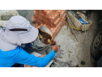 屏東出現本土登革熱病例，縣府提醒民眾落實防疫防蚊措施 防堵疫