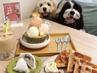 屏東推寵物友善　走訪店家拿好禮、親子毛孩一起玩