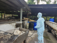 屏東縣再查獲養豬場餵飼廚餘  依法裁罰80萬元 即刻封鎖場內