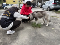 不容虐待動物！東勢區虐犬棄養 中市動保處將嚴懲 擬重罰22.