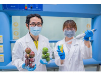 打造希望城市 屏縣府全面啟動農漁品自主送驗補助計畫