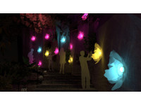 奇幻大津回來了!2026夜之覺旅2月點亮大津瀑布