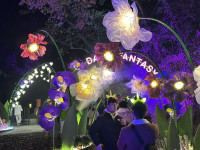 太夯了!「奇幻大津」年前及春節線上搶票一空  掀屏北觀光熱潮