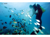 四季都出發 屏東旅遊工具書《Meeting Pingtung