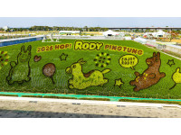 跳跳馬RODY彩繪稻田吸睛登場  2026 屏東熱帶農業博覽