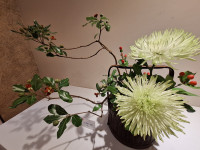 「花開覺路．藝映禪心」──國際佛教花藝論壇高雄登場　以花傳禪