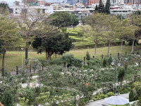 全國第一座!花博迷宮花園等您來捉迷藏