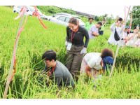 美國舊金山大學參訪團踏入嘉義田間，翁章梁熱情迎接