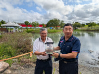 原生魚保種策略顯成效森林公園保種池菊池氏細鯽數量增加快20倍