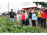 雲林縣農損達2.6億元全國最高張麗善籲農業部勿政治化比照台南