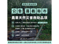 丹娜絲颱風在漁港區域漁船(筏)現金救助及低利貸款，7月21日