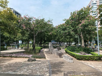花草多感體驗林森公園打造綠植角落