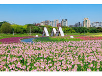 2026古亭花海正式起跑蔣市長化身「一日攝影師」與知名Cos