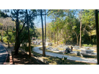 全新升級！虎頭埤風景區「竹林烤肉區」三月底前訂購烤肉套餐享早