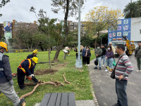 防災尖兵訓練有素最強鏈鋸手救人也救樹