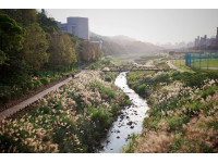 「水泥溝渠」變身「生命廊道」指南溪護岸再造周年成果亮眼一級保