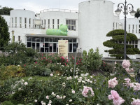 園丁喵喵出任務進駐臺北玫瑰園