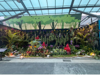 蘭花景觀競賽「最佳人氣獎」進入最後衝刺南市府邀全民指尖應援抽