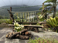 2026竹子湖海芋季繡球花季登場「花田樂章」