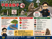 猴群下山移動至海岸線成功分局籲勿餵食維護人猴安全