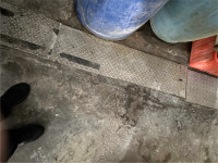 市場處加強鼠患防治落實「防鼠三不」守護環境與健康