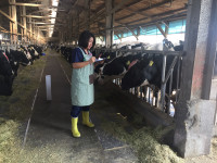 新版鮮乳標章上路臺南市政府攜手酪農守護消費者權益