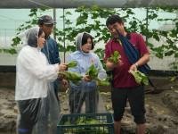 強降雨重創葉菜產區張麗善縣長勘災要求加速查報協助農民復耕