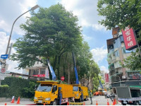 慎防巴威颱風來襲北市公園處加強樹木、路燈防災