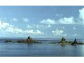 新金山海水浴場