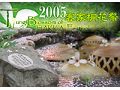 客家桐花祭(4月)