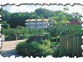北關農場