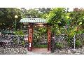 小崗山休閒茶藝館
