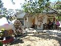橋頭肉包 (太成老店) 糖廠店