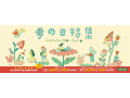 MITSUI OUTLET PARK 台