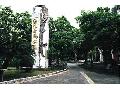 花東縱谷195縣道
