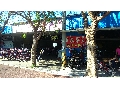 薰衣草租車
