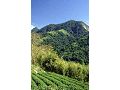 華山遊憩區