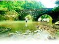 糯米橋