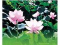 白河蓮花節文化活動(6月)